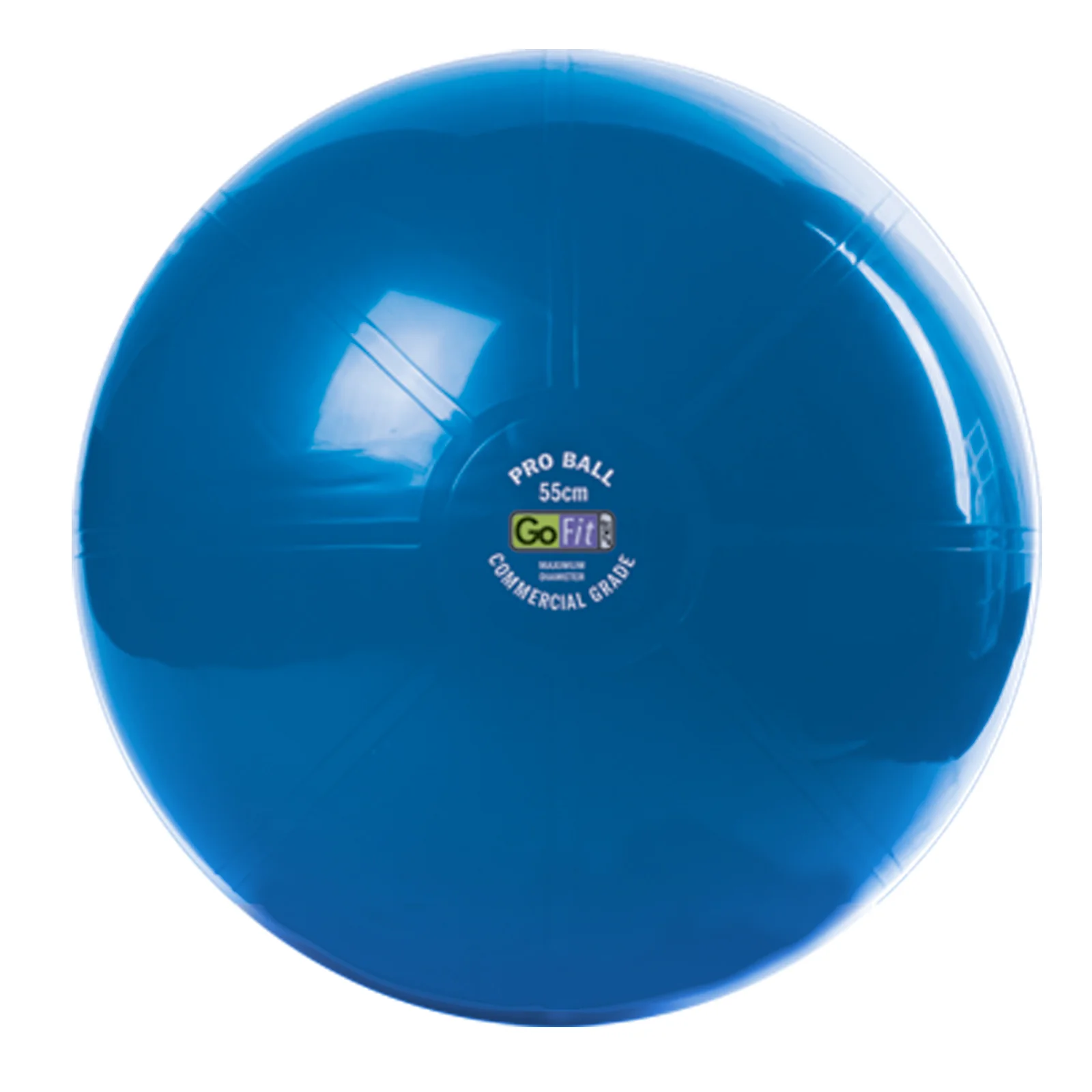 Super Ball - Commercial Grade Stability Ball - Image 3